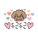 멍브라더 애견카페 이미지