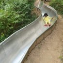 우면산유아숲체험장 네이버블로그