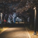 경북대 서문교차로 이미지