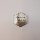 필라모드
