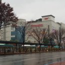 분당-264 이미지