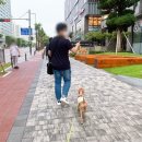 몽몽잇 이미지