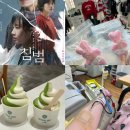바라봄동물병원 | 타임스퀘어 CGV 영화 침범 / 로라로라 팝업 이벤트 / 헌혈의집 영등포센터 헌혈 후기