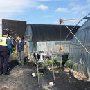 추부파출소 이미지