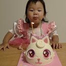 책 속에서 과학 엿보기 | 꿈틀이첫과학 4세 과학 유아전집 추천 놀이 후기