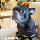 민봉천 | 서울 봉천역 카페 추천 5곳