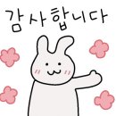 개평만두전골 이미지