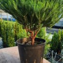 생명농장 이미지