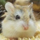 다사종합동물병원 이미지