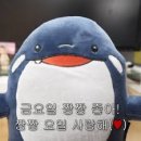 스포터 | 아더에러 갤럭시 블레이저 (Galaxy Blazer Non painting) 구매후기