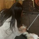 강우오일 이미지