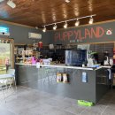 퍼피랜드애견카페 이미지