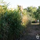 서천종합관광안내소 이미지