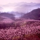 칸타빌레 이미지