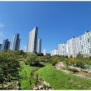 서희공인중개사사무소 이미지