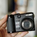 중앙부속밧데리 | 니콘 쿨픽스 P5100 디카 실사용 후기와 작례 사진들