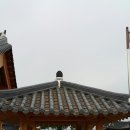 정자 이미지