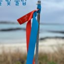 울타리영농조합법인 이미지