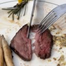 강아지마을 | 헤이리마을 맛집 대형견 강아지 가능 파주애견동반식당 이그조틱 솔직후기