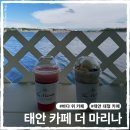 카페 마리나 | 태안 대형 카페 더마리나 바다 특별한 해상카페 후기