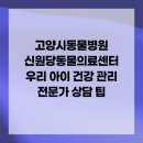 고양시동물병원 신원당동물의료센터 우리 아이 건강 관리 전문가 상담 팁
