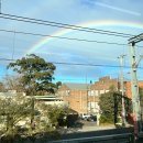 무지개클럽 이미지