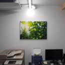 강북OA센타 이미지