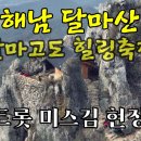 해남달마산 유튜브영상 달마고도 힐링축제 미스김공연 미황사-도솔암 종주산행 이미지