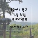 6월16일 일요도보 (울산 걍동사랑길+화암주상절리) 이미지