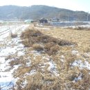 용정삼거리 인근 이미지