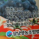 농수산물사이버거래소