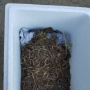 판운1리마을회관 이미지