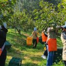 유어면사무소 이미지