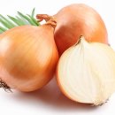 양파(onion)