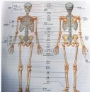 다보메디칼 이미지