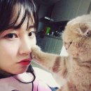 최희헤어