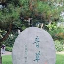 안중근의사 유묵-청초당 이미지