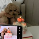 찌미케이크 이미지