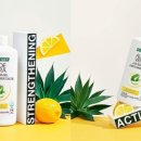 베라푸드 이미지