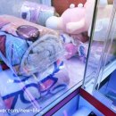 스미스 인형뽑기 이미지