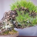 청산푸른환경 이미지