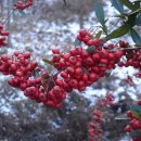 인생여행 이미지