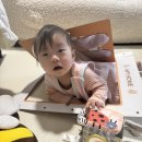 2026년1월19일 월요일 음력12월1일 이미지