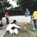 유앤아이해피심리상담센터한국동물매개심리치료학회연구소 | 순천시 반려동물 문화 및 산업 포럼 개최(이데이뉴스 강진원 기자)