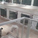 Pet's Station 이미지