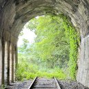 7월 3일 문경 주암정 능소화와 연꽃, 카페 가은역, 옛 불정역, 문경 선유동 계곡 이미지