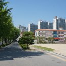 전라초교병설유치원 이미지