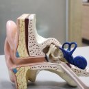화정보청기 | 덕양구보청기 벨톤보청기 고양덕양 미소청각센터 상담받고 온 후기