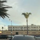 (주)행복한식품 펭귄주유소 | [일상] 이태원 나들이 (feat,비건)