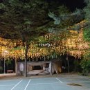 빛의 숲 이미지